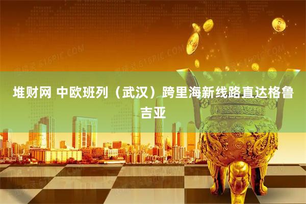 堆财网 中欧班列（武汉）跨里海新线路直达格鲁吉亚