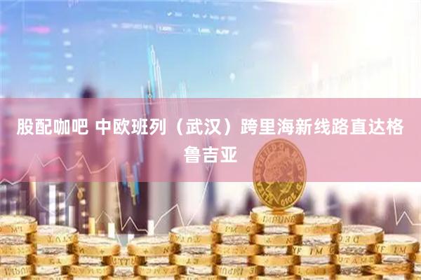 股配咖吧 中欧班列（武汉）跨里海新线路直达格鲁吉亚