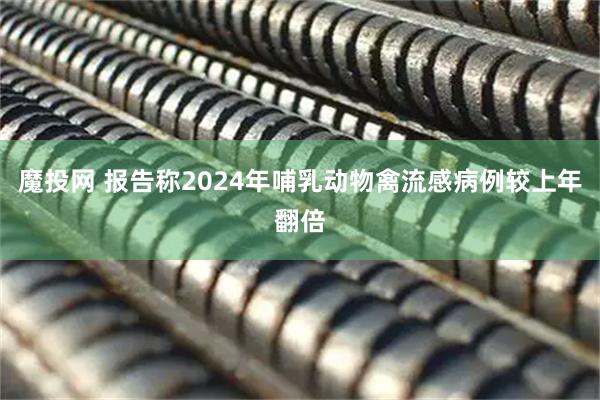 魔投网 报告称2024年哺乳动物禽流感病例较上年翻倍