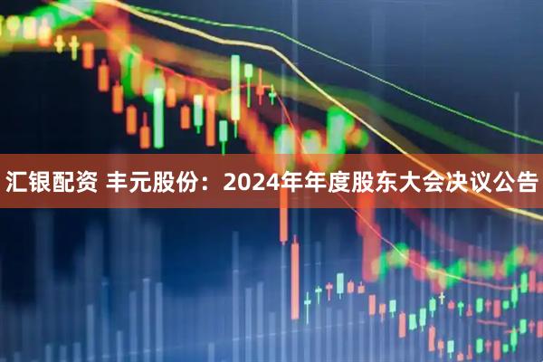 汇银配资 丰元股份：2024年年度股东大会决议公告