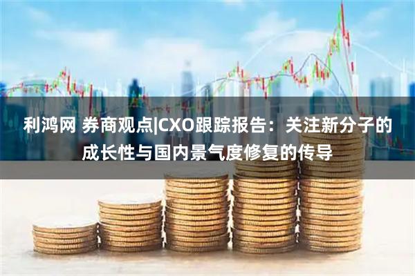 利鸿网 券商观点|CXO跟踪报告：关注新分子的成长性与国内景气度修复的传导
